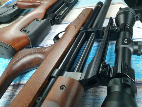 battle of the budget bullpups