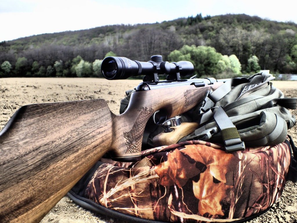basc guide to airgun shooting