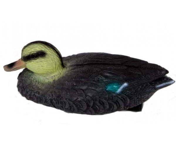 Teal Hen Decoy