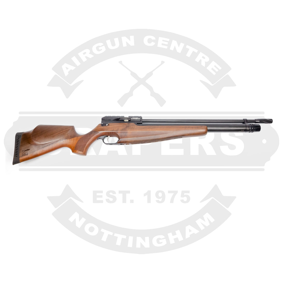 Webley Raider 12 .22
