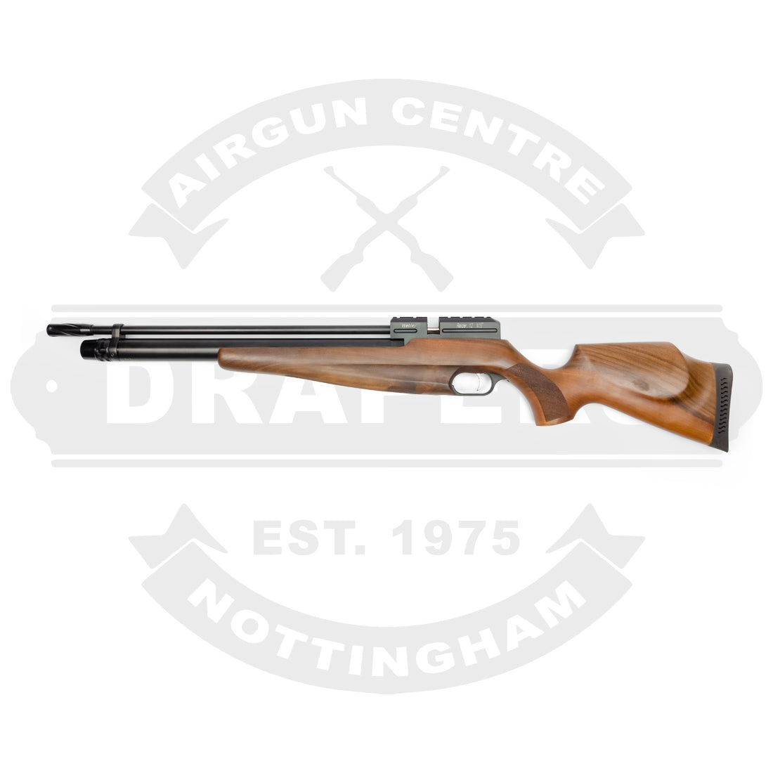 Webley Raider 12 .22