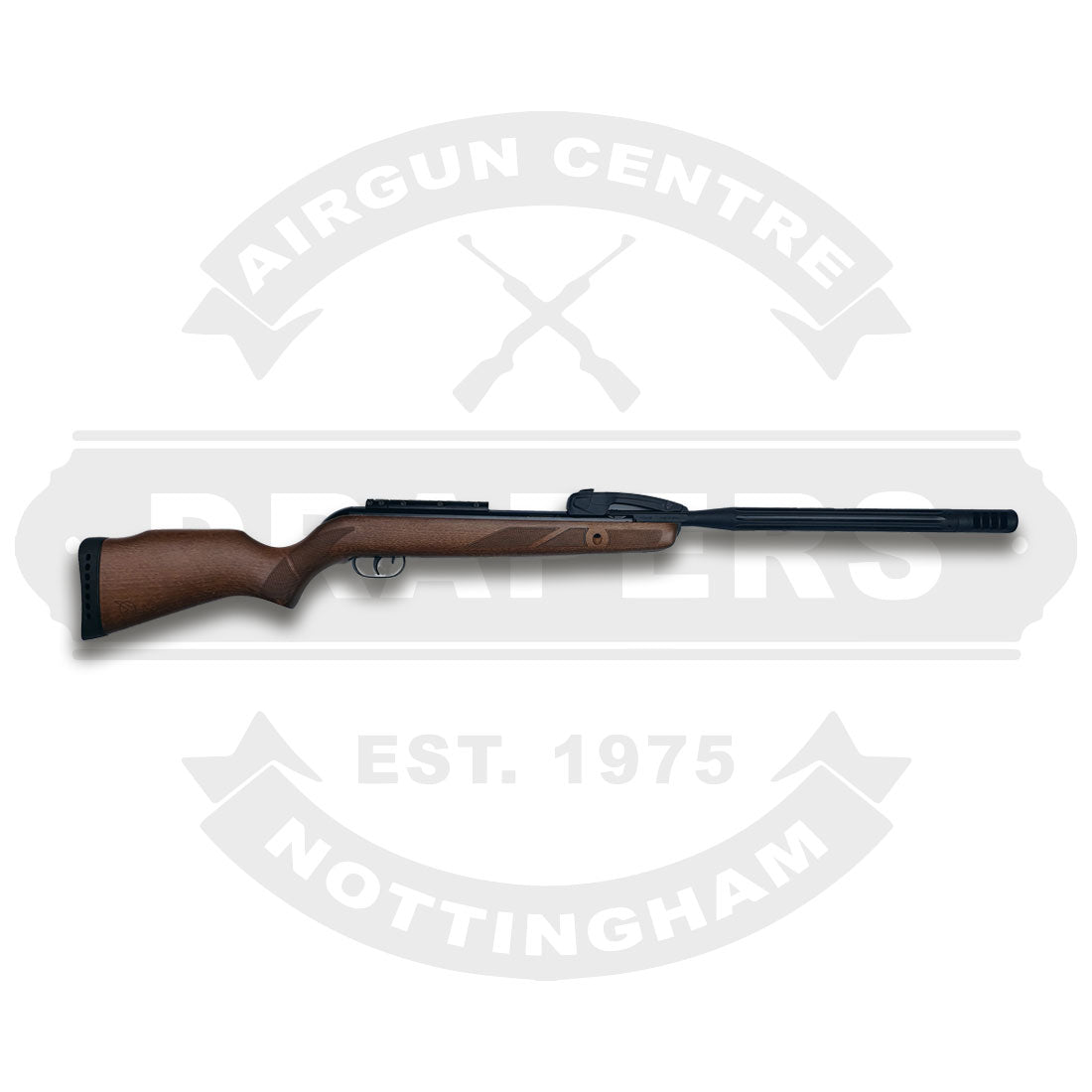 Gamo Varmint Swarm .22 Includes Scope