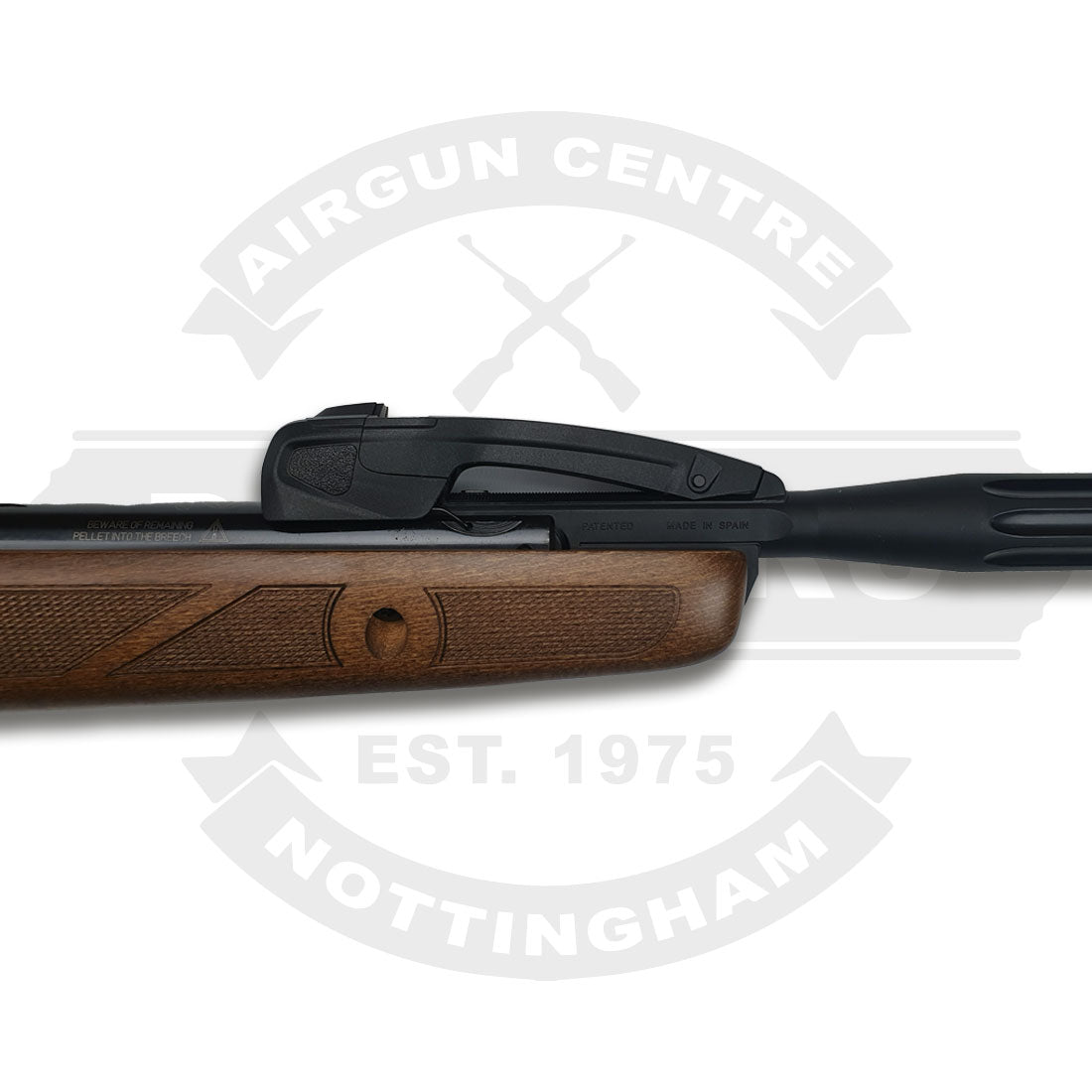 Gamo Varmint Swarm .22 Includes Scope