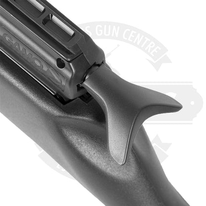 Gamo Arrow .22