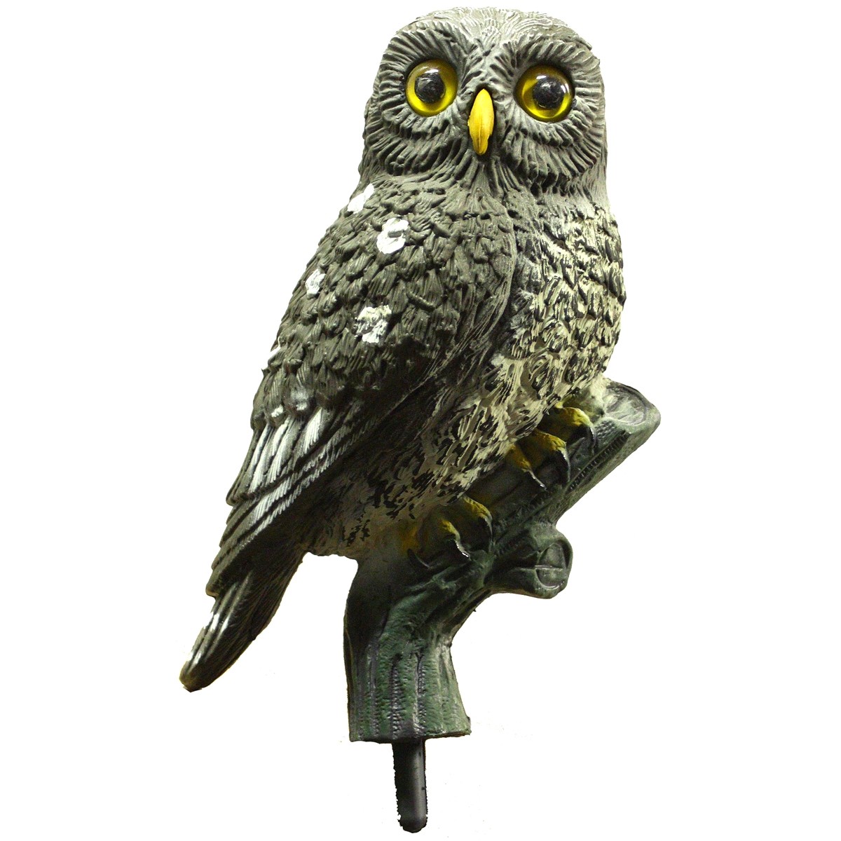 Little Owl Decoy by Sport Plast