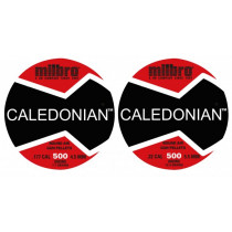 Milbro Caledonian Domed .177 (x500)